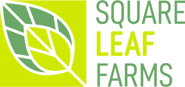 mel-logo-square-leaf